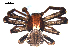  ( - BIOUG00629-G08)  @13 [ ] CC-0  G. Blagoev 2010 Unspecified