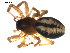  ( - BIOUG00629-H09)  @13 [ ] CC-0  G. Blagoev 2010 Unspecified