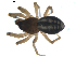  ( - BIOUG00630-A01)  @13 [ ] CC-0  G. Blagoev 2010 Unspecified
