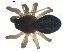  ( - BIOUG00630-A02)  @13 [ ] CC-0  G. Blagoev 2010 Unspecified