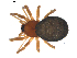  ( - BIOUG00630-A07)  @13 [ ] CC-0  G. Blagoev 2010 Unspecified