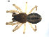  ( - BIOUG00630-B05)  @13 [ ] CC-0  G. Blagoev 2010 Unspecified
