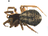  ( - BIOUG00630-B06)  @13 [ ] CC-0  G. Blagoev 2010 Unspecified