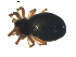  ( - BIOUG00630-C03)  @12 [ ] CC-0  G. Blagoev 2010 Unspecified