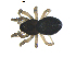  ( - BIOUG00630-C06)  @12 [ ] CC-0  G. Blagoev 2010 Unspecified