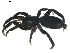  ( - BIOUG00630-E04)  @13 [ ] CC-0  G. Blagoev 2010 Unspecified