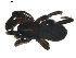  ( - BIOUG00630-E05)  @12 [ ] CC-0  G. Blagoev 2010 Unspecified