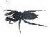  ( - BIOUG00630-E10)  @12 [ ] CC-0  G. Blagoev 2010 Unspecified