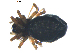  ( - BIOUG00630-F02)  @12 [ ] CC-0  G. Blagoev 2010 Unspecified