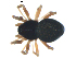  ( - BIOUG00630-G01)  @12 [ ] CC-0  G. Blagoev 2010 Unspecified