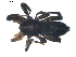  ( - BIOUG00630-G05)  @13 [ ] CC-0  G. Blagoev 2010 Unspecified