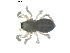  ( - BIOUG00630-G07)  @12 [ ] CC-0  G. Blagoev 2010 Unspecified