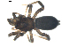  ( - BIOUG00630-G08)  @13 [ ] CC-0  G. Blagoev 2010 Unspecified