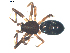  ( - BIOUG00632-B05)  @12 [ ] CC-0  G. Blagoev 2010 Unspecified