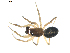  ( - BIOUG00632-B11)  @13 [ ] CC-0  G. Blagoev 2010 Unspecified