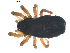  ( - BIOUG00632-C03)  @12 [ ] CC-0  G. Blagoev 2010 Unspecified