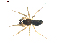  ( - BIOUG00632-C12)  @13 [ ] CC-0  G. Blagoev 2010 Unspecified