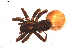  ( - BIOUG00633-B07)  @12 [ ] CC-0  G. Blagoev 2011 Unspecified