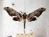  ( - BC-EMEM0124)  @14 [ ] Copyright (2010) Unspecified Research Collection of Ulf Eitschberger