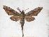  ( - BC-EMEM0014)  @14 [ ] Copyright (2010) Unspecified Research Collection of Ulf Eitschberger