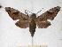  ( - BC-EMEM0017)  @14 [ ] Copyright (2010) Unspecified Research Collection of Ulf Eitschberger