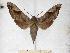  ( - BC-EMEM0019)  @14 [ ] Copyright (2010) Unspecified Research Collection of Ulf Eitschberger