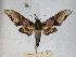  ( - BC-EMEM0193)  @14 [ ] Copyright (2010) Unspecified Research Collection of Ulf Eitschberger