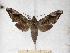  ( - BC-EMEM0020)  @14 [ ] Copyright (2010) Unspecified Research Collection of Ulf Eitschberger