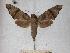  ( - BC-EMEM0040)  @14 [ ] Copyright (2010) Unspecified Research Collection of Ulf Eitschberger