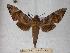  ( - BC-EMEM0044)  @13 [ ] Copyright (2010) Unspecified Research Collection of Ulf Eitschberger