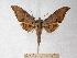  ( - BC-EMEM0576)  @14 [ ] Copyright (2010) Unspecified Research Collection of Ulf Eitschberger
