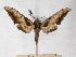  ( - BC-EMEM0624)  @13 [ ] Copyright (2010) Unspecified Research Collection of Ulf Eitschberger