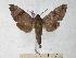  ( - BC-EMEM0063)  @13 [ ] Copyright (2010) Unspecified Research Collection of Ulf Eitschberger