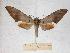  ( - BC-EMEM0685)  @14 [ ] Copyright (2010) Unspecified Research Collection of Ulf Eitschberger