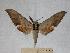  ( - BC-EMEM0709)  @14 [ ] Copyright (2010) Unspecified Research Collection of Ulf Eitschberger
