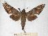  ( - BC-EMEM0008)  @13 [ ] Copyright (2010) Unspecified Research Collection of Ulf Eitschberger