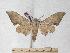  ( - BC-EMEM0842)  @13 [ ] Copyright (2010) Unspecified Research Collection of Ulf Eitschberger
