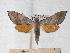  ( - BC-EMEM0853)  @14 [ ] Copyright (2010) Unspecified Research Collection of Ulf Eitschberger