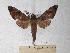  ( - BC-EMEM0086)  @13 [ ] Copyright (2010) Unspecified Research Collection of Ulf Eitschberger