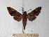  ( - BC-EMEM0088)  @13 [ ] Copyright (2010) Unspecified Research Collection of Ulf Eitschberger