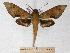  ( - BC-EMEM0889)  @14 [ ] Copyright (2010) Unspecified Research Collection of Ulf Eitschberger