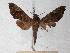  ( - BC-EMEM0091)  @14 [ ] Copyright (2010) Unspecified Research Collection of Ulf Eitschberger
