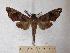  ( - BC-EMEM0094)  @13 [ ] Copyright (2010) Unspecified Research Collection of Ulf Eitschberger