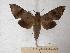 ( - BC-EMEM0096)  @14 [ ] Copyright (2010) Unspecified Research Collection of Ulf Eitschberger