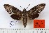  ( - BC-EMEM1528)  @14 [ ] Copyright (2010) Unspecified Research Collection of Ulf Eitschberger