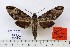  ( - BC-EMEM1533)  @13 [ ] Copyright (2010) Unspecified Research Collection of Ulf Eitschberger