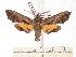  ( - BC-EMEM1038)  @13 [ ] Copyright (2010) Unspecified Research Collection of Ulf Eitschberger