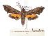  ( - BC-EMEM1041)  @14 [ ] Copyright (2010) Unspecified Research Collection of Ulf Eitschberger