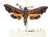  ( - BC-EMEM1042)  @14 [ ] Copyright (2010) Unspecified Research Collection of Ulf Eitschberger