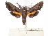  ( - BC-EMEM1044)  @14 [ ] Copyright (2010) Unspecified Research Collection of Ulf Eitschberger